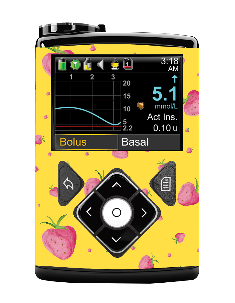 Medtronic 640/670G Pump Sticker (Strawberry Patch) - The Useless Pancreas